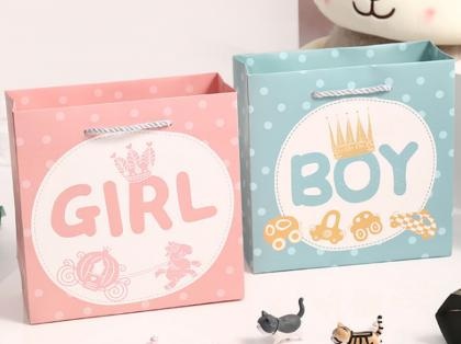 Blue Pink Paper Hand-held  Paper Bags