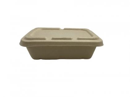 Salad Light Food Environmental Protection Food Box