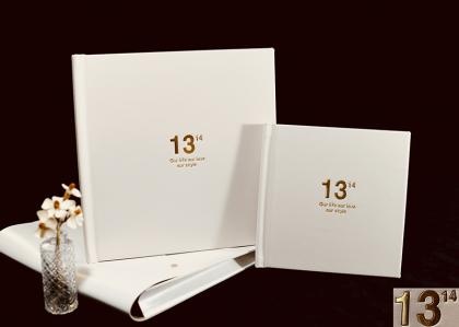 OEM e ODM Custom color leather double album with storage bag in vendita